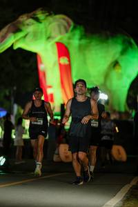 BIB: 
                            <button type="button" onclick="openModal(26533380)" class="btn btn-primary btn-sm float-right btn-popup" data-toggle="modal" data-target=".modal-high-quality">
                        <i class="fas fa-shopping-cart"></i> Add to Cart
                    </button>
                                            <button type="button" onclick="isThisMe(26533380, true)" class="btn btn-success btn-sm float-right btn-popup btn-isme hidden" data-toggle="tooltip" data-placement="bottom" title="นี่คือรูปของคุณใช่ไหม คลิกที่นี่เพื่อเอาเข้าอัลบั้ม">
                        <i class="fas fa-plus"></i> Add to album
                    </button>
                    <button type="button" onclick="isThisMe(26533380, false)" class="btn btn-warning btn-sm float-right btn-popup btn-isnotme hidden">
                        <i class="fas fa-ban"></i> Remove from album
                    </button>